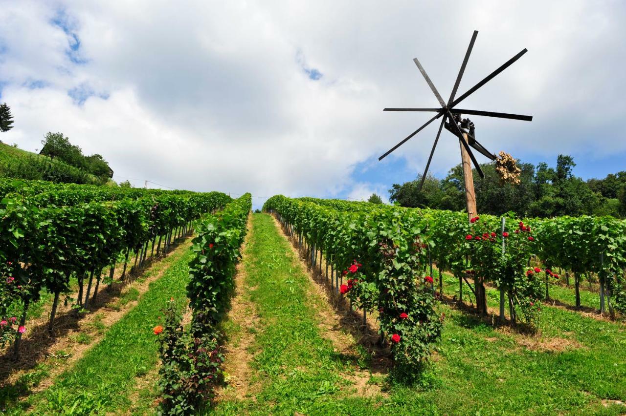 مبيت وإفطار كيتسك إيم زاوزال Weingut Stoff المظهر الخارجي الصورة