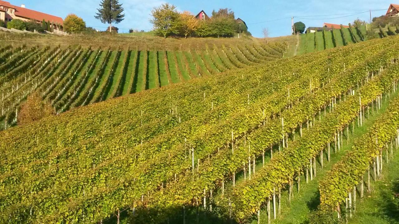 مبيت وإفطار كيتسك إيم زاوزال Weingut Stoff المظهر الخارجي الصورة